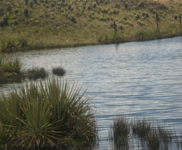 Turmequé - Laguna de El Valle